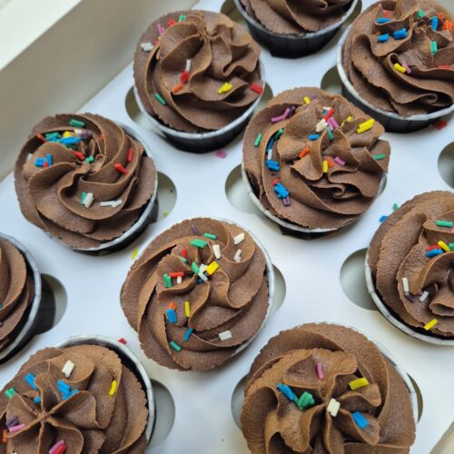 Cupcakes- Chocolate Cupcakes with Sprinkles- Box of 12