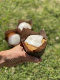 Vegan Lemon Muffins- Box of 6