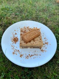 Biscoff Blondies - Box of 8