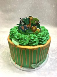 Jungle Mania Cake